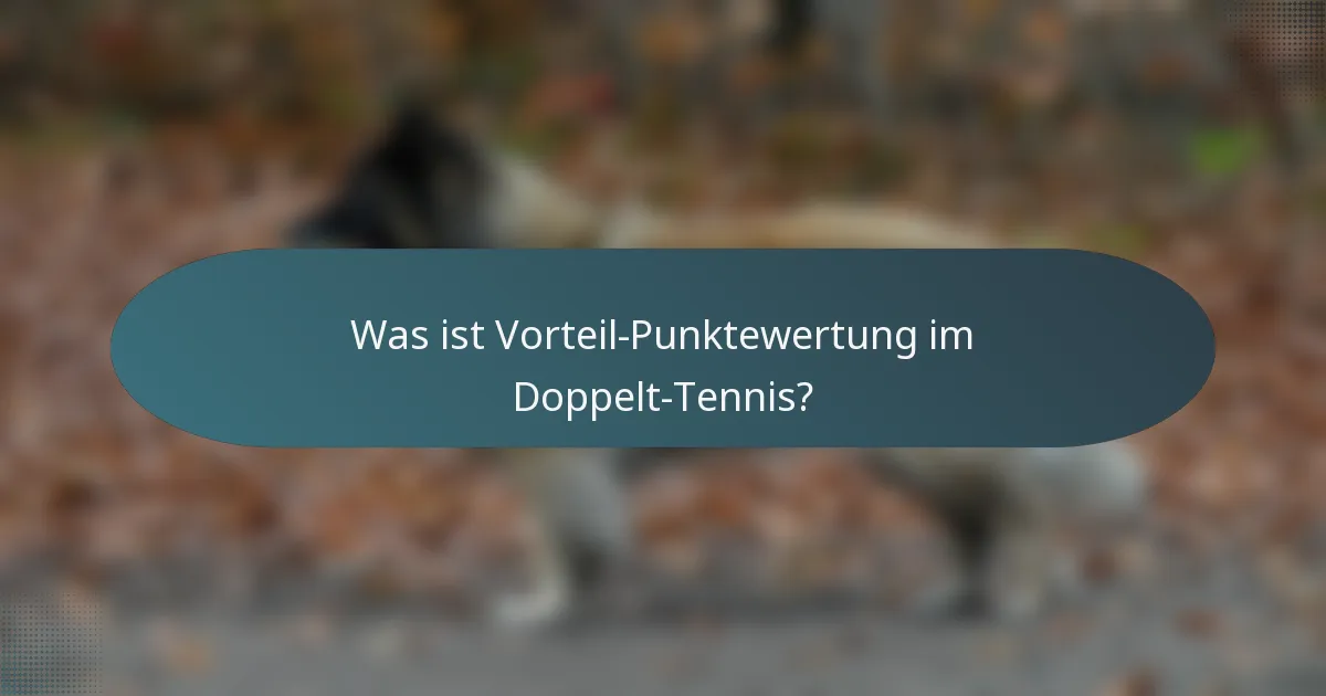 Was ist Vorteil-Punktewertung im Doppelt-Tennis?
