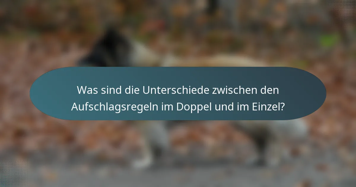 Was sind die Unterschiede zwischen den Aufschlagsregeln im Doppel und im Einzel?